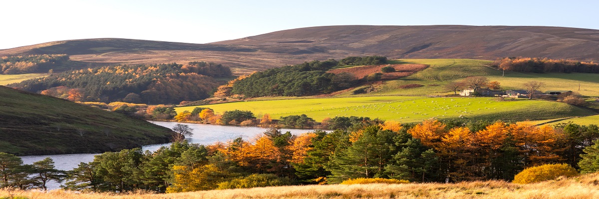 Scottish Farming Update | Autumn 2023