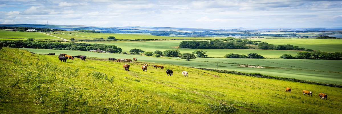 Scottish Farming Update | Spring 2024