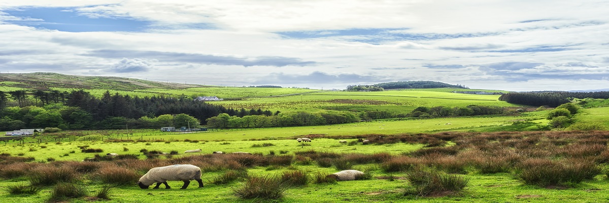 Scottish Farmland Market Review | Spring 2023
