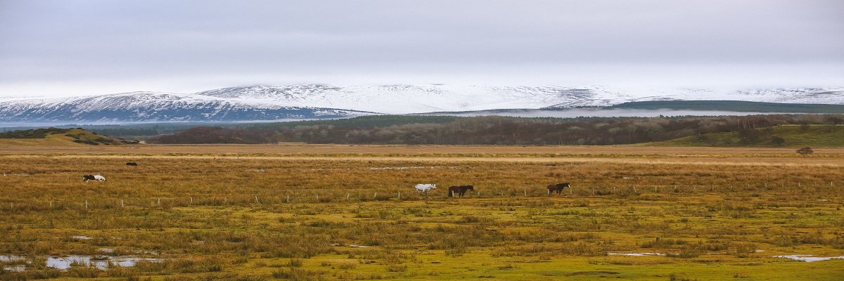 Scottish Farmland Market Review | Winter 2023/24