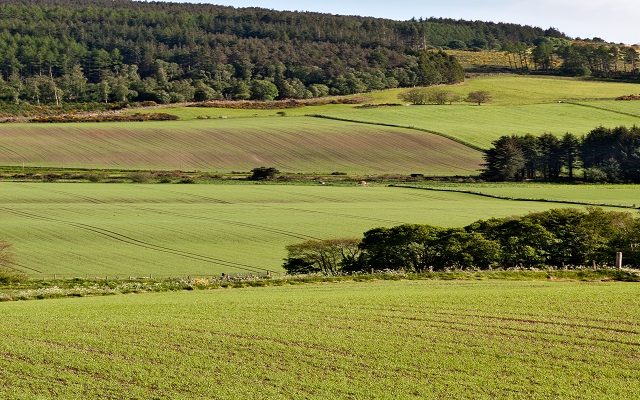 New capital grant scheme to open in Scotland