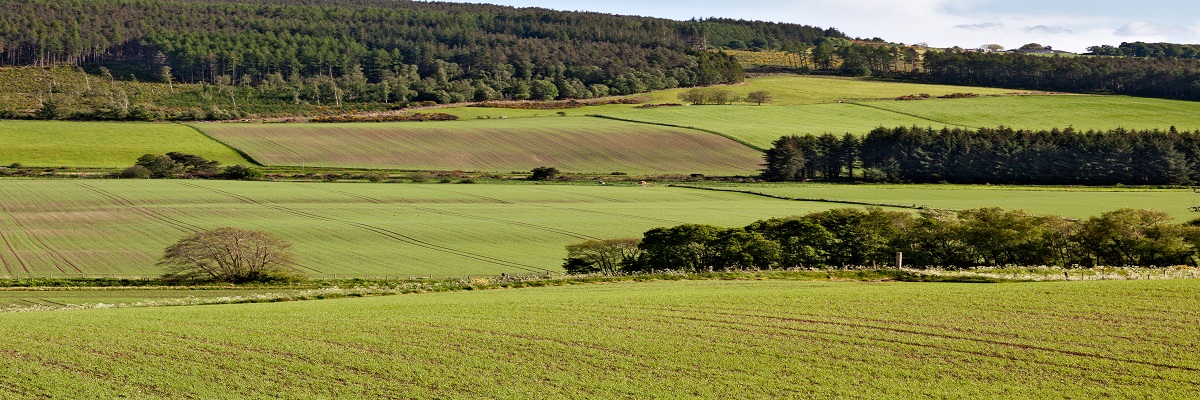 New capital grant scheme to open in Scotland