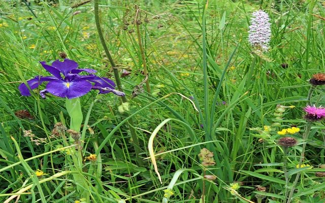 Land Business Update | Week Commencing 9 June 2025