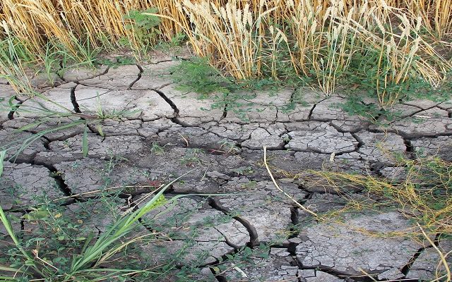 Water availability – the challenges and solutions facing farmers