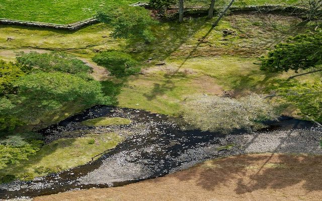 Countryside Stewardship Higher Tier – information and advice