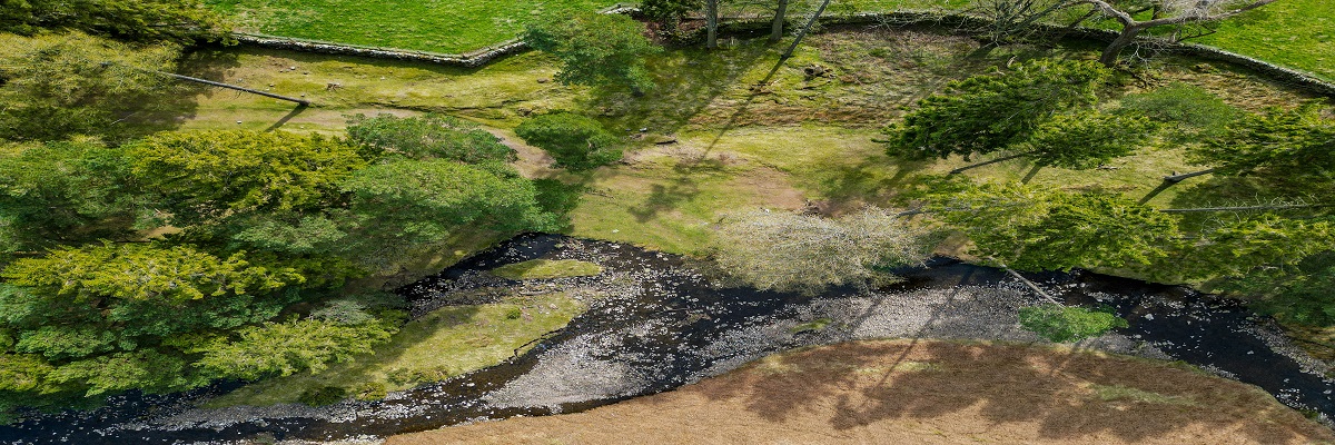 Countryside Stewardship Higher Tier – information and advice