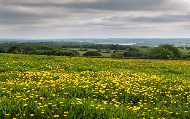 New report highlights value of off-site Biodiversity Net Gain