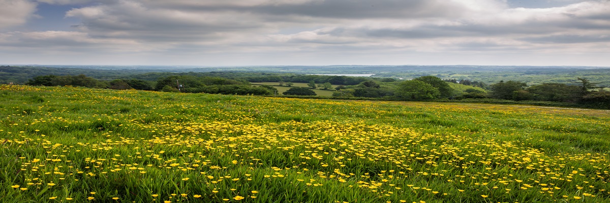 New report highlights value of off-site Biodiversity Net Gain