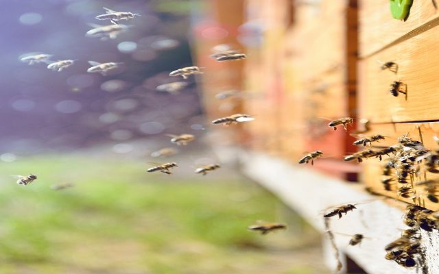 Land Business Update | Week Commencing 23 June 2025