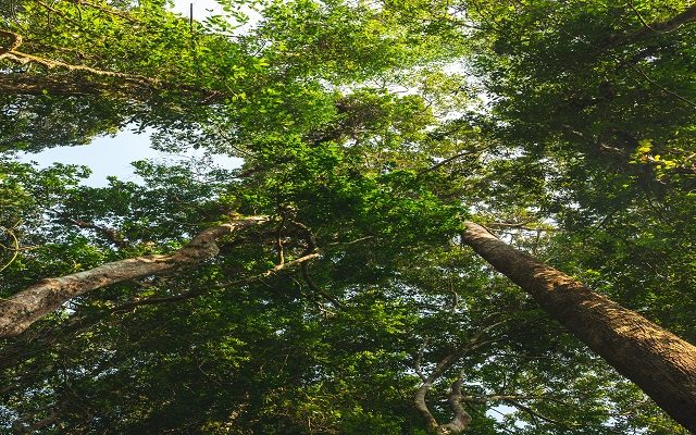 Environmental Business Update | July 2025