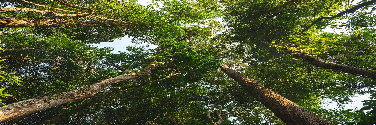 Environmental Business Update | July 2025