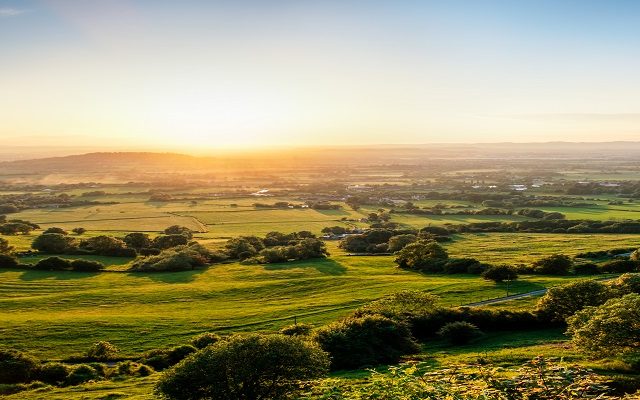 Land Business Update | Week Commencing 21 July 2025