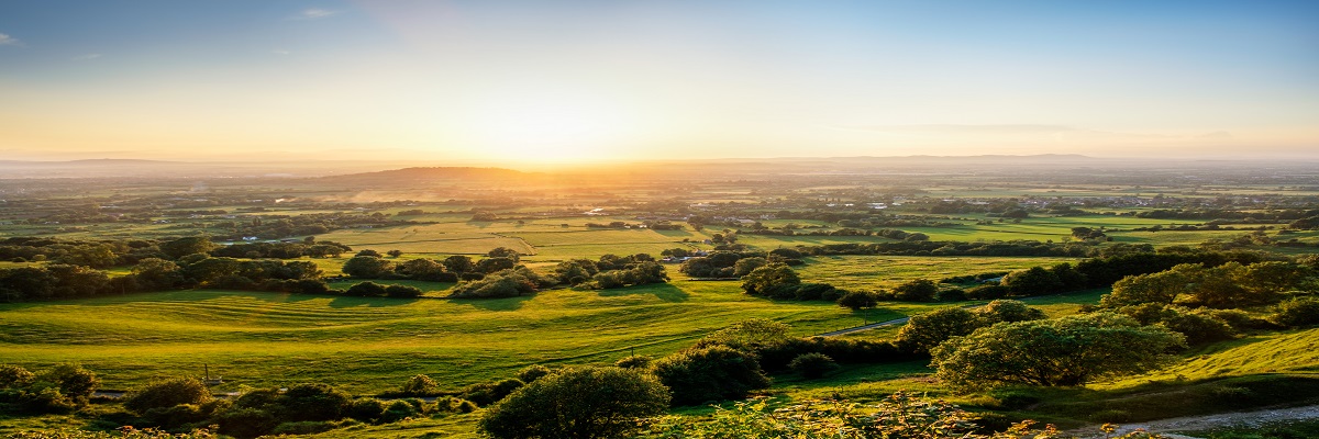 Land Business Update | Week Commencing 21 July 2025