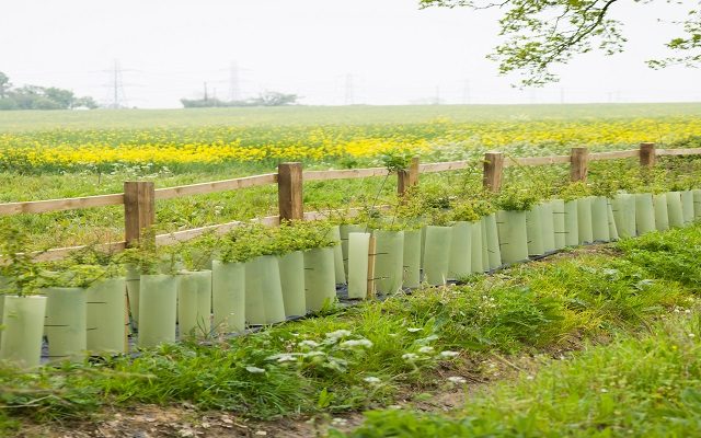 Capital Grants scheme reopens in England