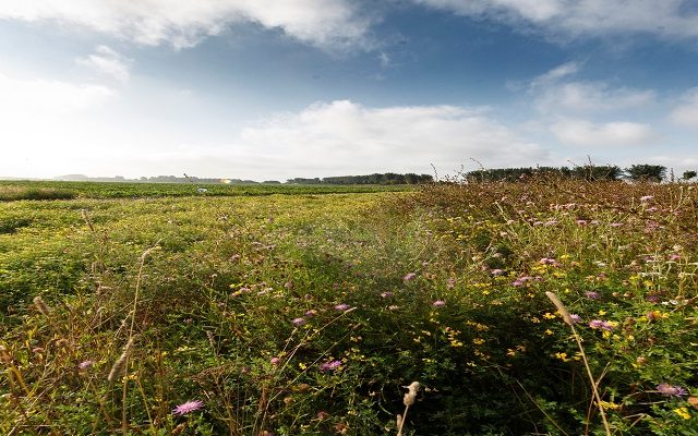 Land Business Update | Week Commencing 4 August 2025