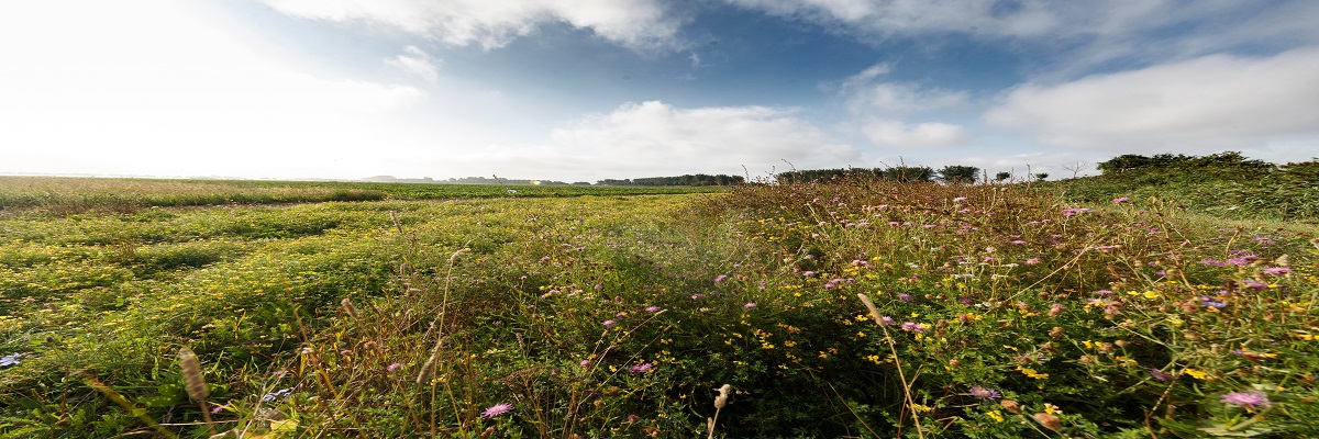 Land Business Update | Week Commencing 4 August 2025