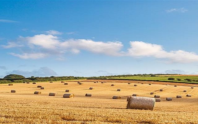 Counting down to IHT reform: What farms and estates must do now