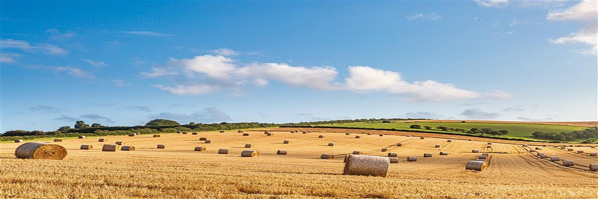 Counting down to IHT reform: What farms and estates must do now