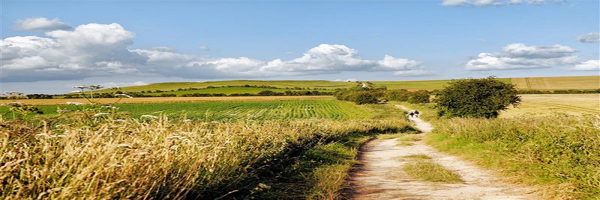 In the Know: Managing rights of way and permissive paths