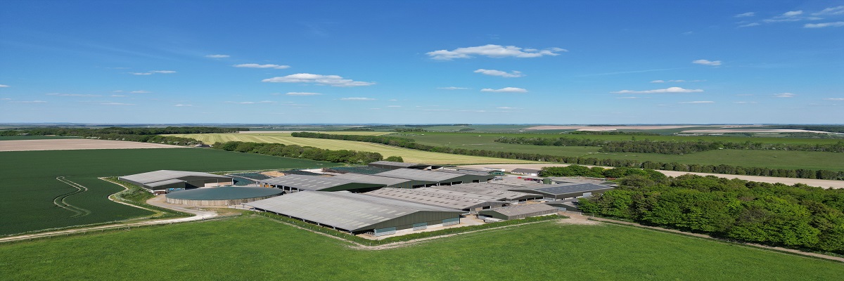 English Estates & Farmland Market Review | Summer 2025