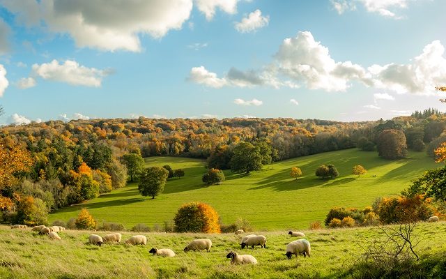 Land Business Update | Week commencing 15 September 2025