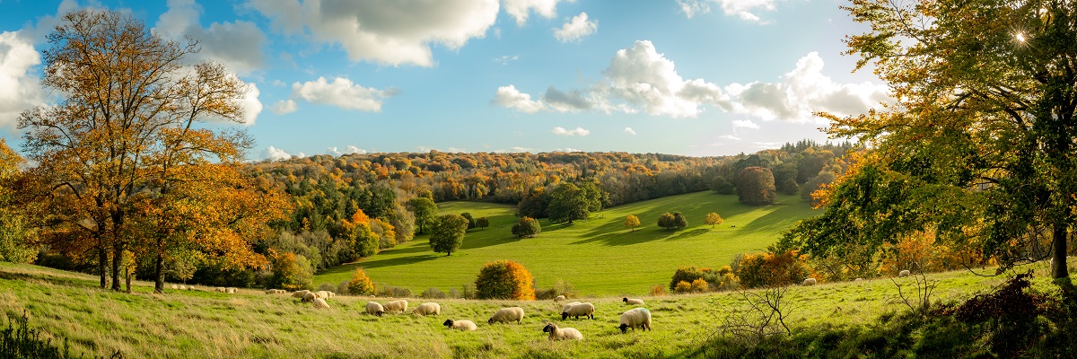 Land Business Update | Week commencing 15 September 2025