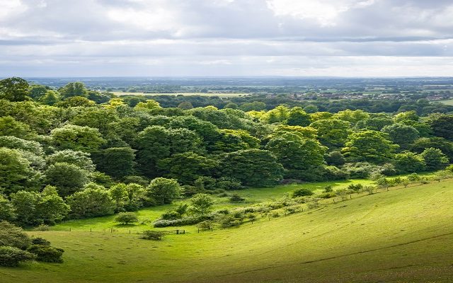 Land Business Update | Week Commencing 1 September 2025