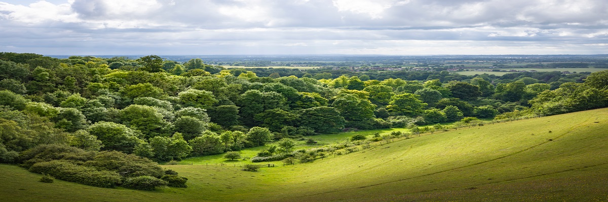 Land Business Update | Week Commencing 1 September 2025