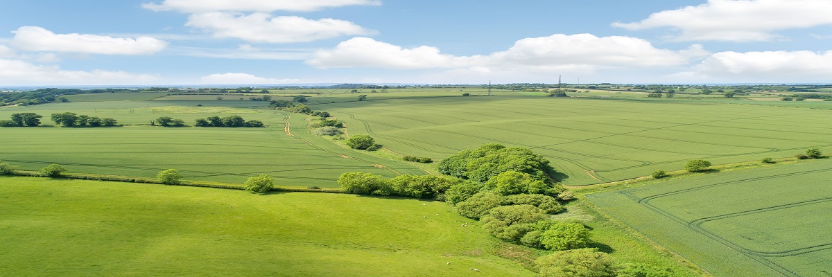 Estates & Farm Agency Department