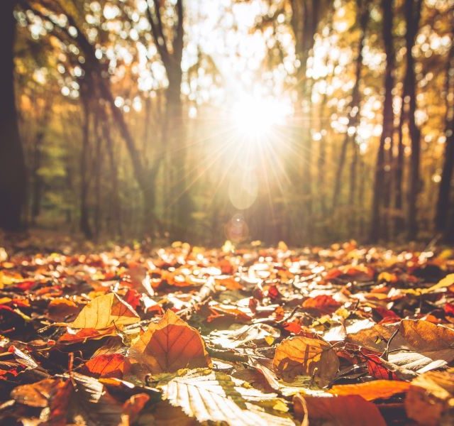 Land Business Update | Week Commencing 13 October 2025