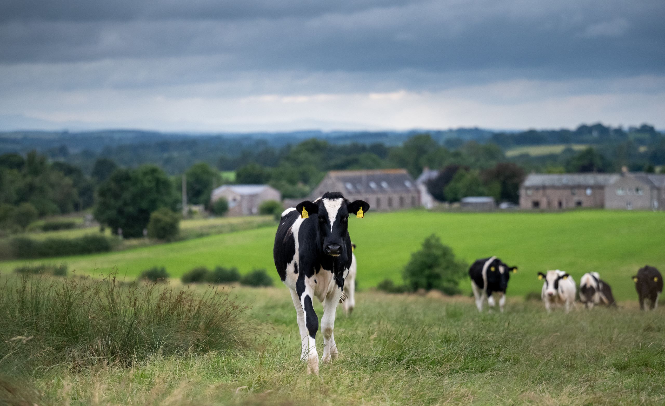 Land Business Update | Week Commencing 5 November 2025