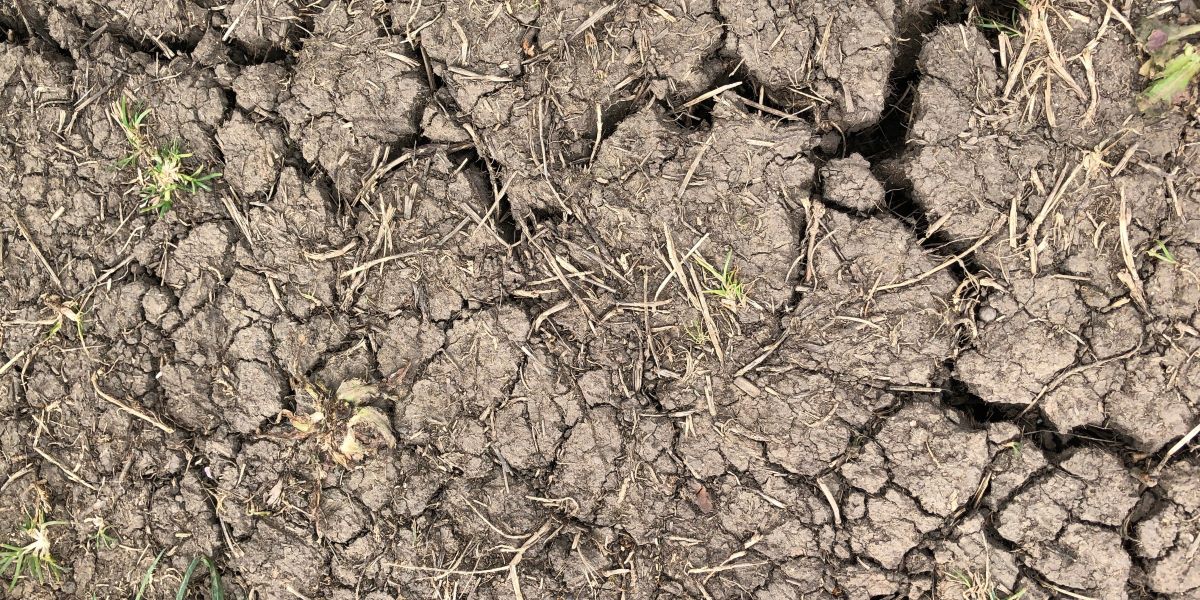 Land Business Update | Week Commencing 17 November 2025