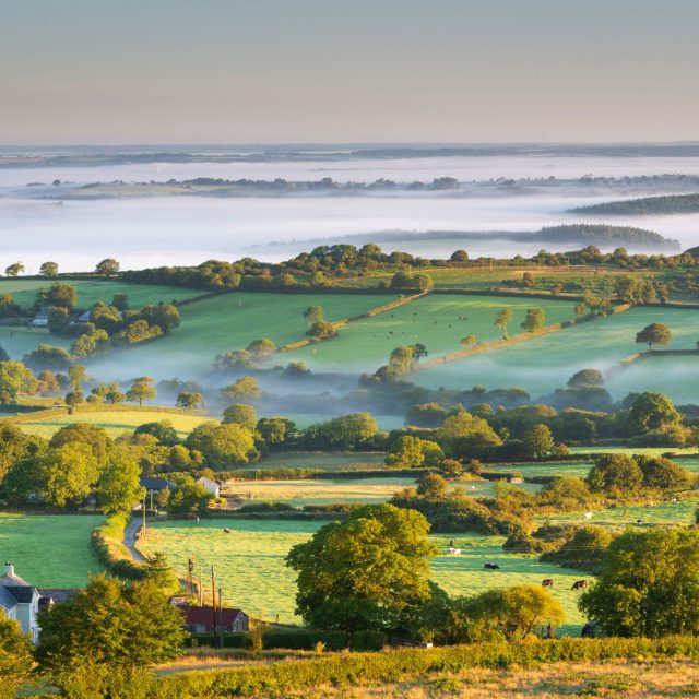 Grant support for environmental enhancement (England)