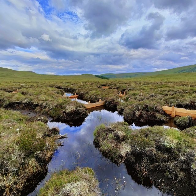 Natural capital markets – an at-a-glance guide