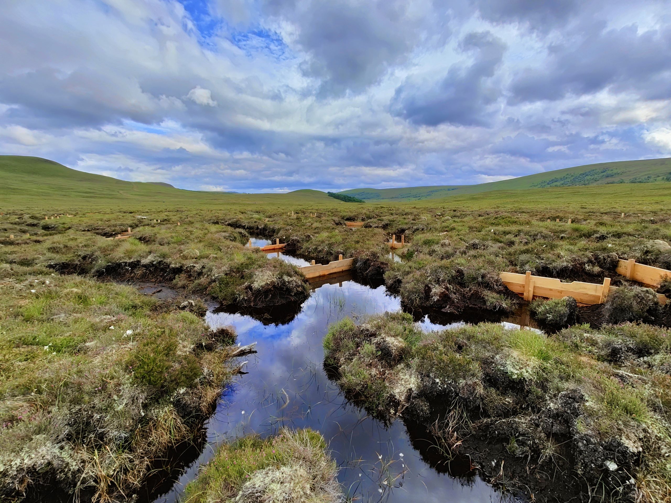 Natural capital markets – an at-a-glance guide