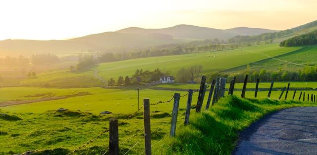 Eight key themes for the rural sector in 2026