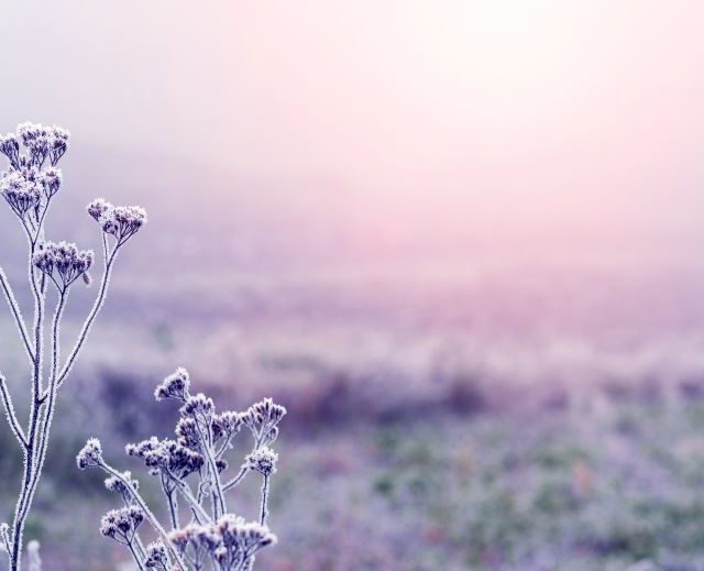 Land Business Update | Week Commencing 12 January 2026