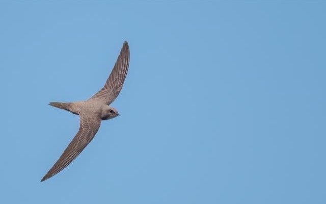 Land Business Update | Week Commencing 9 February 2026