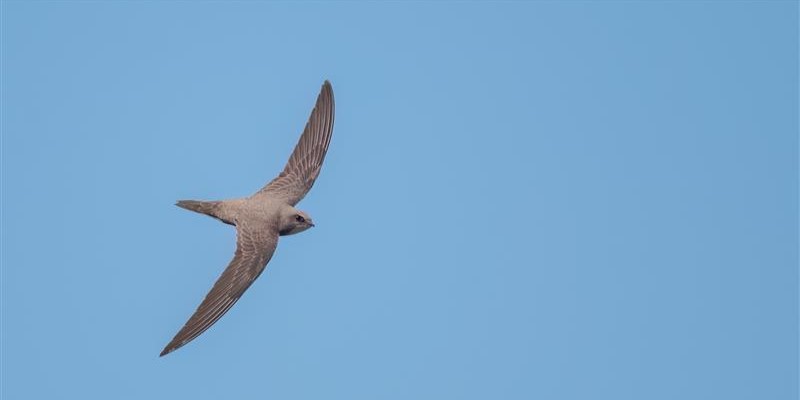 Land Business Update | Week Commencing 9 February 2026