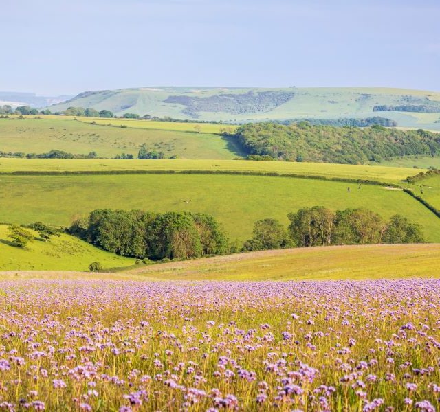 Use SFI 2026 to cut risk and build business resilience