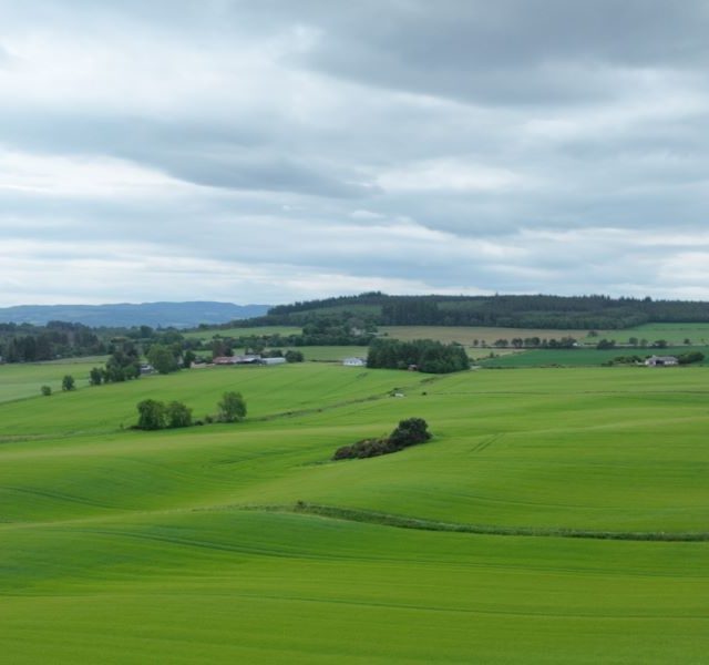Scottish Farmland Market Review