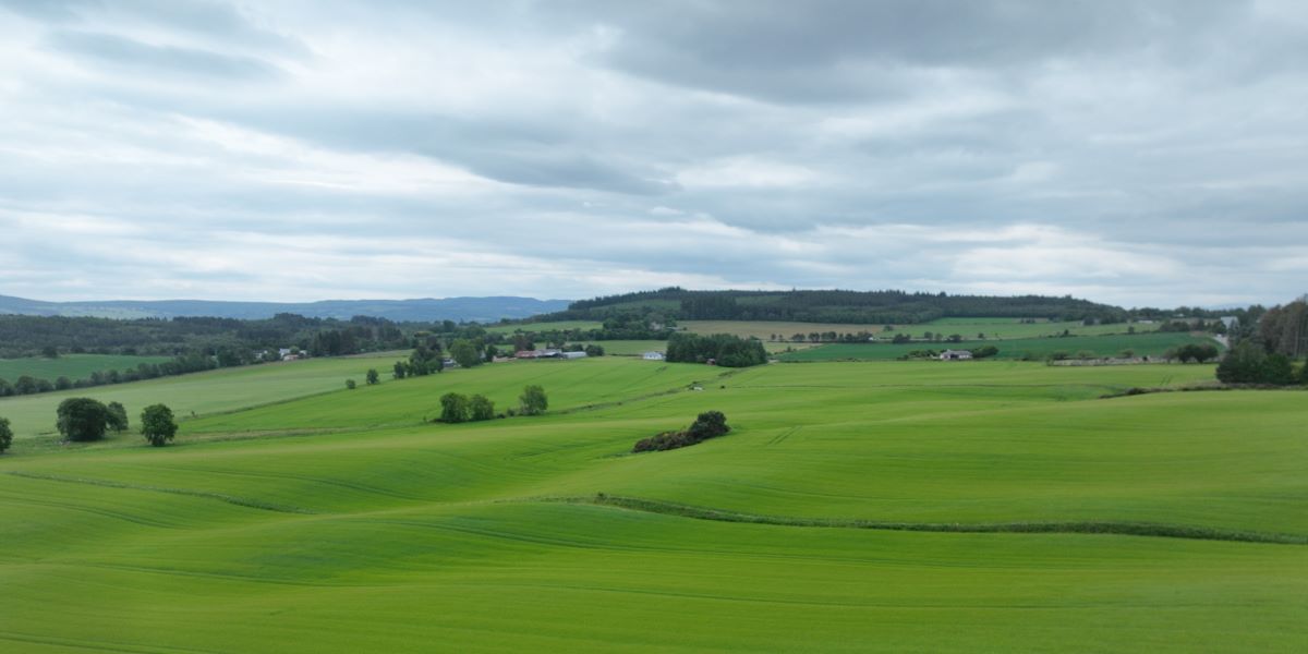Scottish Farmland Market Review