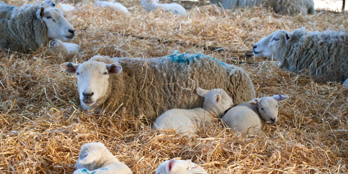 Health & safety update | Spring 2026