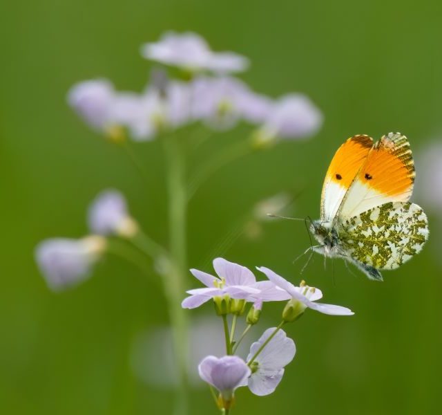 Land Business Update | Week Commencing 23 March 2026