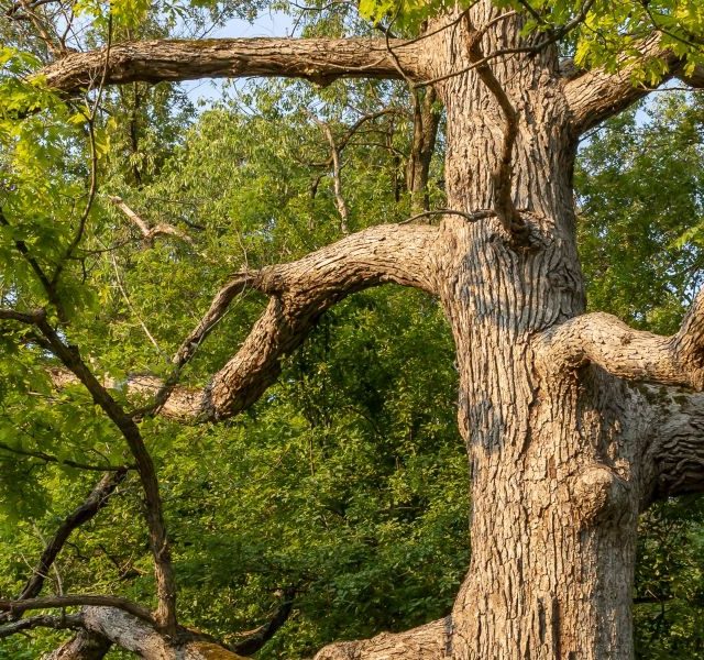 Land Business Update | Week Commencing 9 March 2026