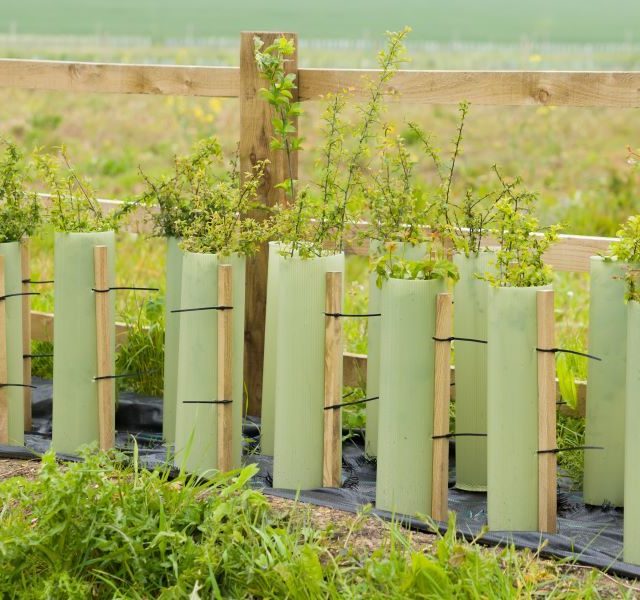 Prepare early for 2026 Capital Grants applications