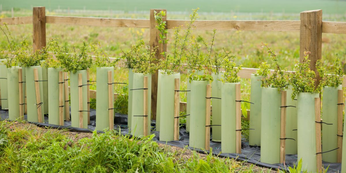 Prepare early for 2026 Capital Grants applications