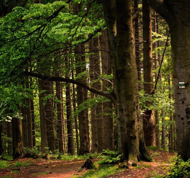 Land Business Update | Week Commencing 6 April 2026