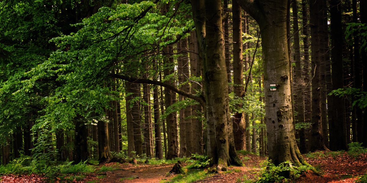 Land Business Update | Week Commencing 6 April 2026