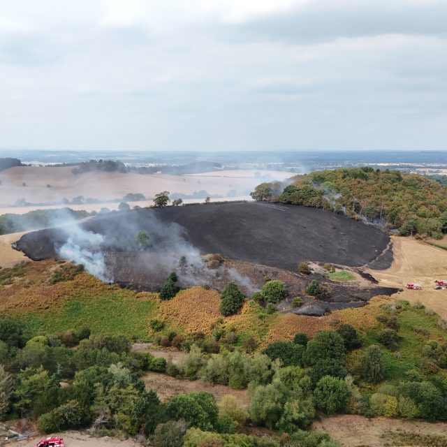 Land Business Update | Week Commencing 4 May 2026